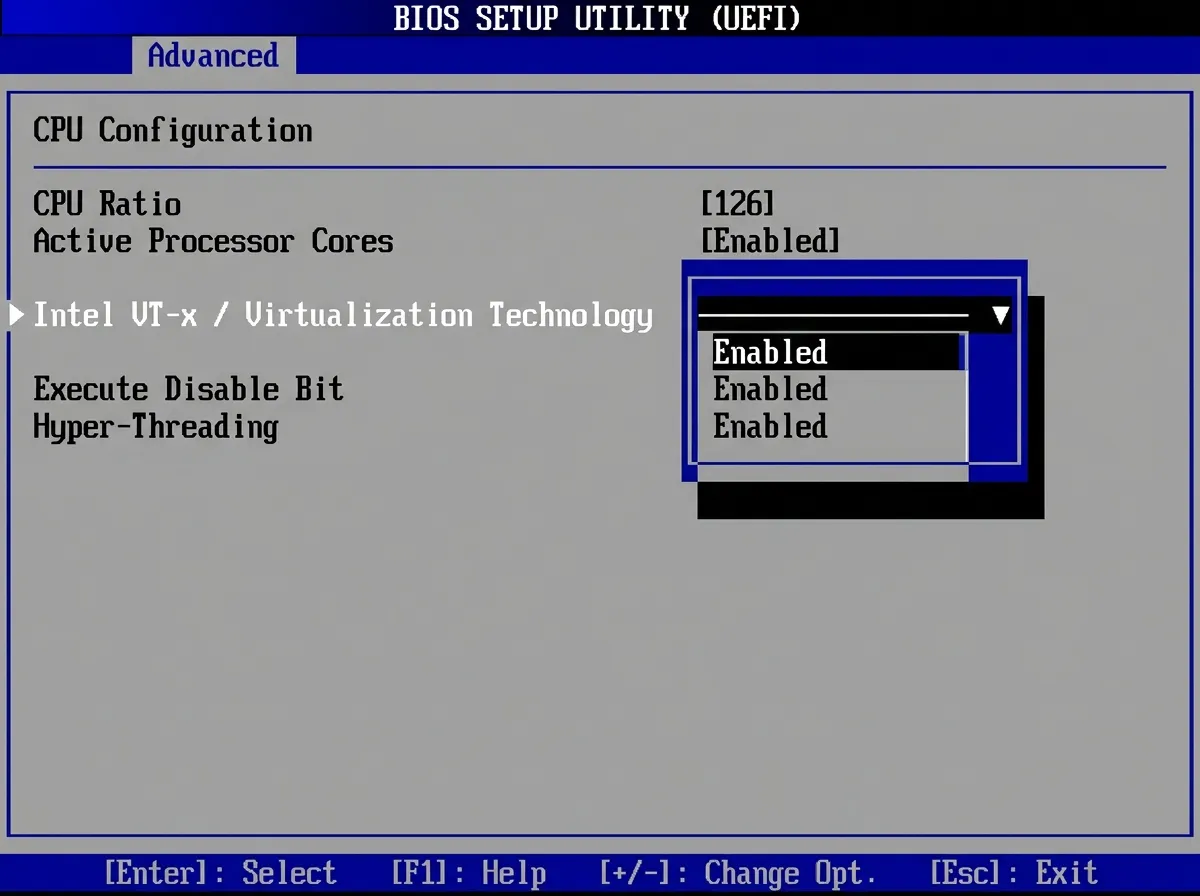BIOS CPU menu with virtualization technology option set to enabled