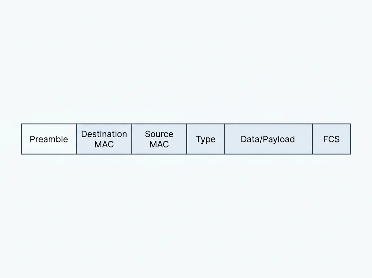 Ethernet frame fields in order: preamble, destination MAC, source MAC, type, data, FCS